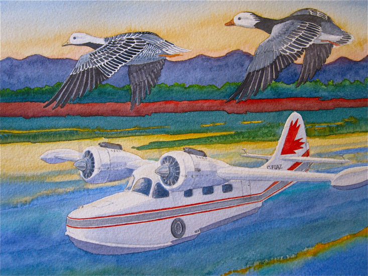 A Grumman Goose flying boat is shown with a Emperor Goose 7 a Snow Goose.