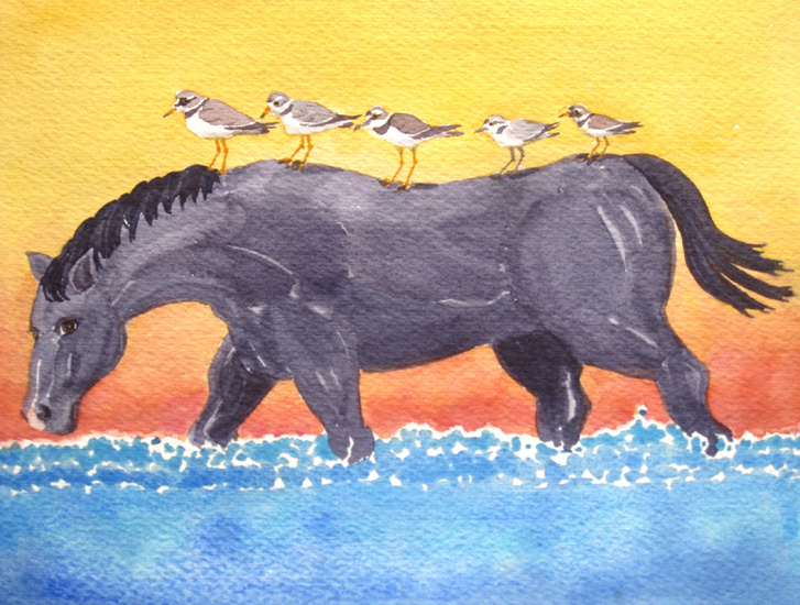Shorebirds on a Workhorse.