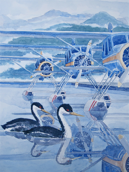 Waterbirds and Floatplanes. 