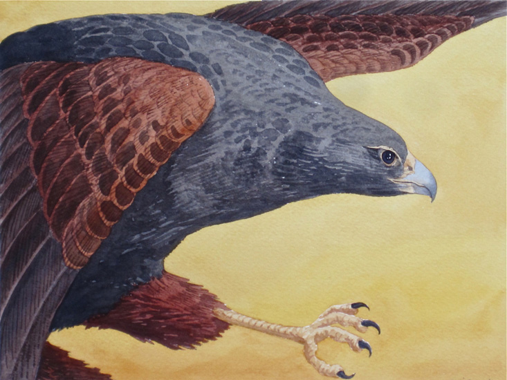 The very graphic brown, black, yellow, & grey are emphasized by the soft ochre background.