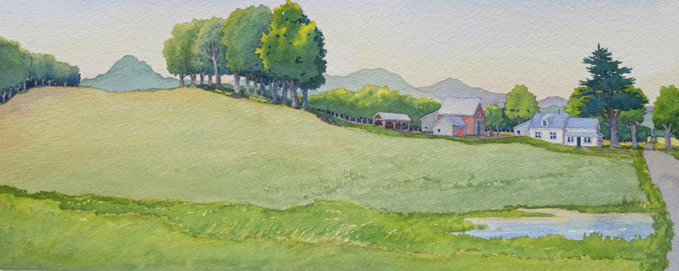 Evening farm view across summer fields with a large maple tree stand.