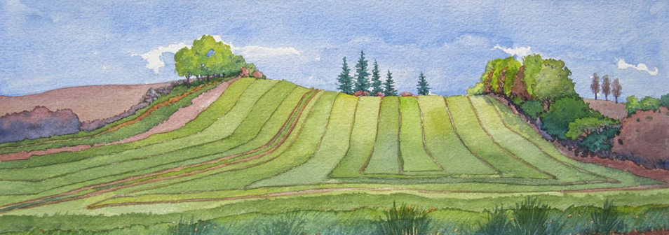 Early spring greens brighten the farmer’s fields.