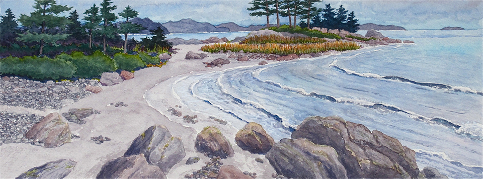  A Windy Shore near Shelburne NS.